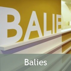 imgi_8_sjabloon-project-categorie